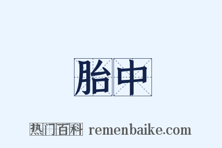 胎中是什么意思的图片